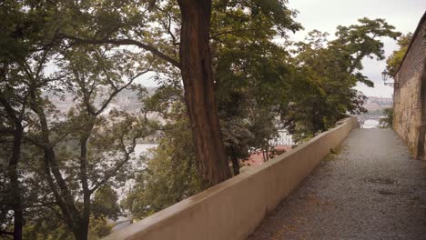 Antigua-Pasarela-De-Piedra-Junto-Al-Río-Con-árboles-Sombreados---Toma-Panorámica