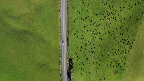 drone-shot-downward-angle-van-driving-in-country-towards-mountains-new-zealand