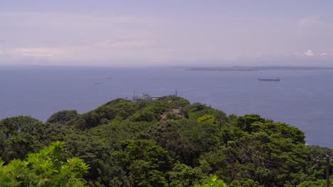 Blick-über-Den-Dichten-Grünen-Wald-Und-Die-Bucht-Von-Tokio-An-Einem-Sonnigen-Tag-In-Japan