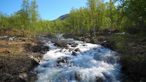 Static-view-of-rapids-high-up-in-the-Lyngen-alps,-in-middle-of-fresh-green-trees,-sunny,-summer-day,-in-North-Norway