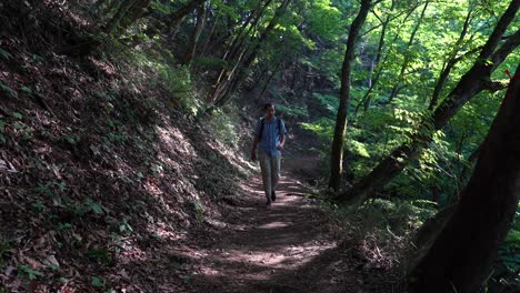 Hombre-Caminando-Y-Caminando-Por-El-Bosque-Verde-Con-La-Luz-Del-Sol-Pasando-Sobre-Los-árboles