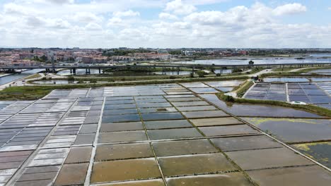 Aerial-view-of-the-tradicional-Aveiro-Salt-Pans-in-Portugal