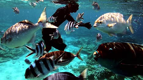 Hombre-Buceando-En-El-Océano-Azul-Tropical-Y-Disfrutando-De-La-Escena-Submarina-Con-Peces-De-Arrecife-Y-Arrecifes-De-Coral