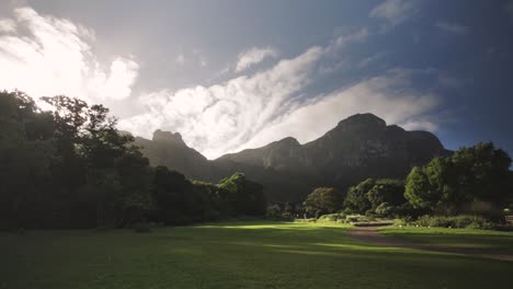 Timelapse-during-Sunset-at-Kirstenbosch-National-Botanical-Garden-in-South-Africa-Cape-Town