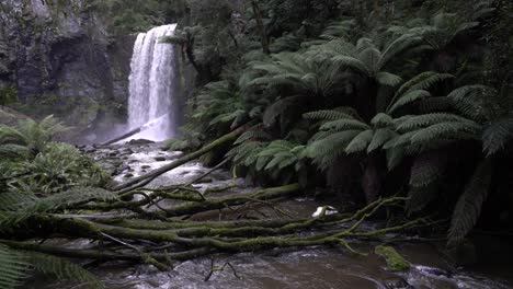 Waterfall-flowing-in-rainforest-amongst-greenery