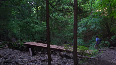 Wanderer-Geht-Auf-Der-Kleinen-Holzbrücke-Im-Wald-In-Japan---Weitschuss