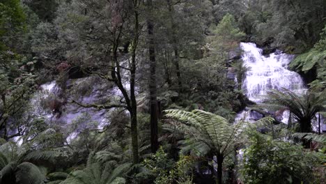 Two-waterfalls-flowing-in-rainforest