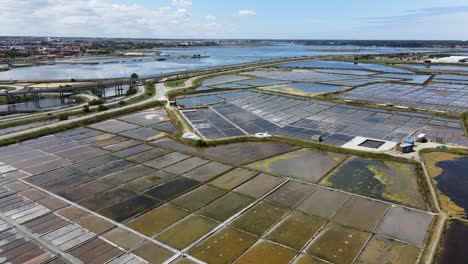 Aerial-Wide-view-of-the-tradicional-Aveiro-Salt-Pans-in-Portugal