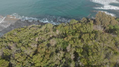 Birds-eye-view-of-trees-on-the-edge-of-a-cliff-looking-down-to-the-blue-ocean-on-Australia's-southern-coast