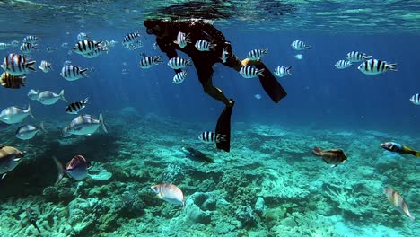 Mann,-Der-In-Einem-Tropischen-Meer-Mit-Schönen-Fischen-Unter-Wasser-Schnorchelt---Unterwasseraufnahme