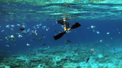 Hombre-Buceando-En-El-Agua-Azul-Cristalina-Con-Peces-De-Arrecife-Sobre-Los-Arrecifes-De-Coral-Junto-Al-Océano-Azul