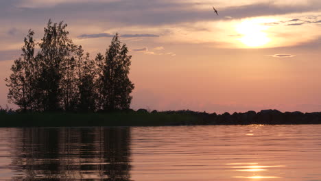 Calm-lake-at-sunset,-bird-nose-dives-into-water