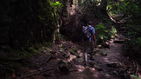 Male-Hiker-Walking-On-A-Rocky-Path-Through-The-Forest---Medium-Shot