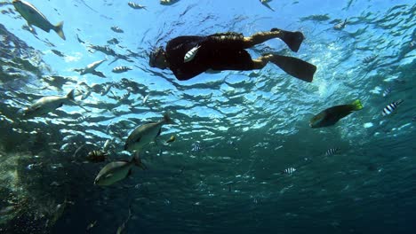 Man-Enjoying-Snorkeling-In-The-Crystal-Clear-Ocean-Waters-With-Exotic-Fishes---Underwater-Shot