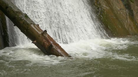 Nahaufnahme-Eines-Dicken-Entblößten-Baumes-Am-Fuße-Des-Wasserfalls-In-Zeitlupe