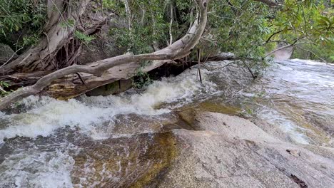 Agua-Dulce-Que-Fluye-Sobre-Las-Rocas-En-Las-Cataratas-De-Emerald-Creek