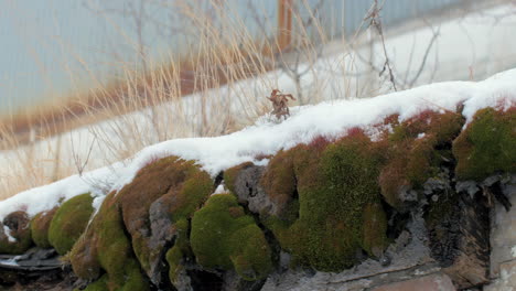 Snow-covered-old-mossy-roof-in-disrepair