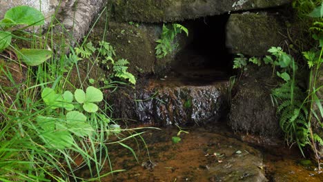A-spring-of-clear-water-trickling-from-a-dark,-stone-drainage-channel
