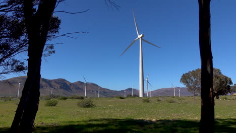 Wind-Turbine-farm-on-the-coast