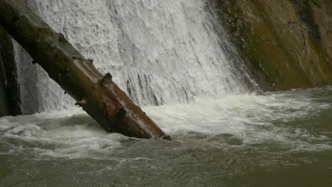 Nahaufnahme-Eines-Kahlen-Baumes-In-Zeitlupe,-Umgeben-Von-Fallenden-Tropfen-Des-Pruncea-Wasserfalls
