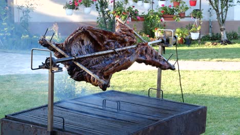 Wide-Shot-of-Grilled-Meat-Spinning-on-Spit-Roast-on-a-Picnic-at-Backyard