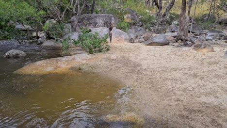 POV-Looking-Around-Swimming-Hole-Next-To-Small-Sandy-Beach-Area-In-Emerald-Creek-Falls