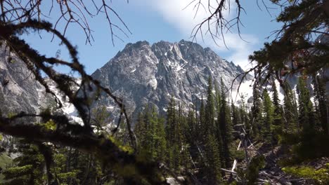 Dragontail-Mountain,-Washington-State-with-Branches-in-Foreground,-Gradual-Push-Through