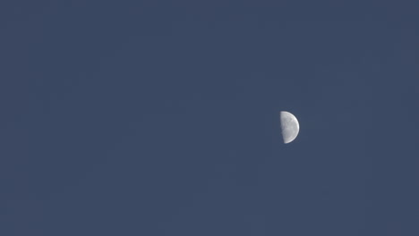 Half-moon-against-dark-cloudless-night-sky