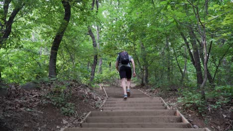 Hiker-walking-up-the-hill-in-the-wood,-walking-on-stairs-up-the-trail