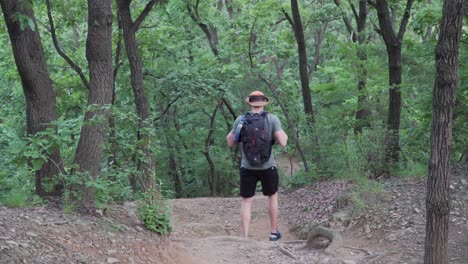 Male-Hiker-Walking-Down-the-mountain-hiking-path-trail---Medium-Shot,-back-view