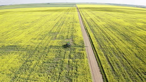 Landwirtschaftstraktor,-Der-Die-Schönen-Leuchtend-Gelben-Rapsfelder-In-Saskatchewan,-Kanada,-Besprüht