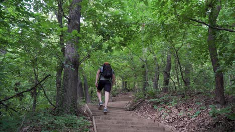 Male-Hiker-walking-up-the-hill-in-the-summer-forest,-walking-on-stairs-up-the-trail