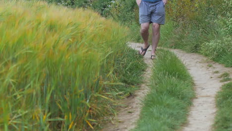 Man-slowly-walks-along-dirt-path-near-tall-wheat-field,-slow-motion