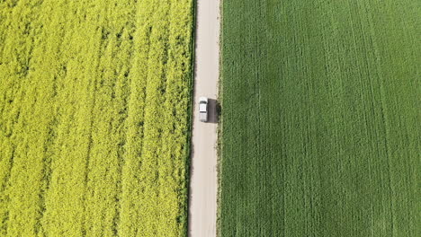 Pick-Up-truck-Driving-Through-The-Yellow-Canola-And-Wheat-Field-In-Saskatchewan,-Canada