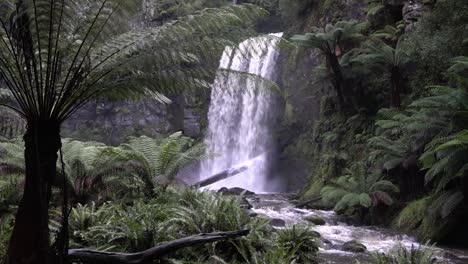 Waterfall-flowing-into-rocky-river-stream-amongst-Australian-rainforest