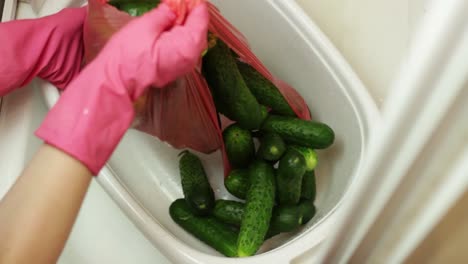 Emptying-plastic-bags-full-of-small-cucumbers-into-a-white-plastic-bowl