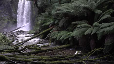 Off-centre-footage-of-flowing-waterfall-into-rocky-stream-amongst-ferns-in-Australian-rainforest
