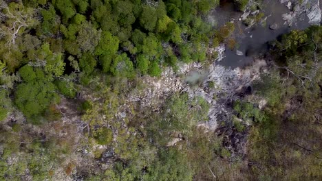 Luftaufnahme-Von-Oben-Nach-Unten-über-Trockene-Hartlaubwälder-Und-Parkplatz-In-Der-Nähe-Von-Emerald-Falls-Creek