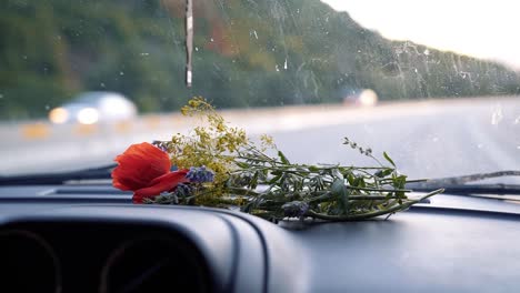 Slow-motion-shot-of-a-beautiful-bundle-bouquet-of-wildflowers-including-a-pretty-red-poppy-flower-lying-on-the-front-dashboard-of-a-car-as-it-drives-down-a-road-during-dusk