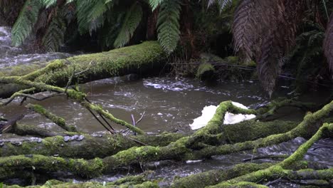 Foam-building-by-logs-in-murky-river-stream