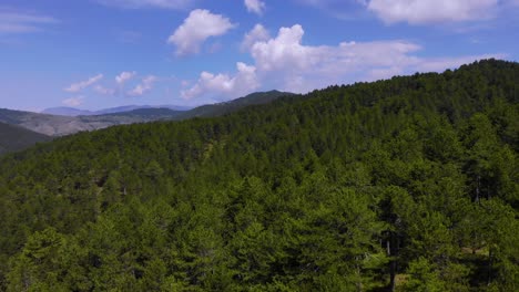 Schöne-Naturlandschaft-Mit-Blauem-Himmel-Und-Weißen-Wolken-über-Einem-Grünen-Bergkiefernwald