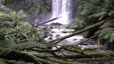Nahaufnahme-Des-Wasserfalls-Und-Des-Felsigen-Flusses-Unter-Regenwald