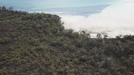 Drone-footage-over-australian-forest-towards-blue-sandy-beach