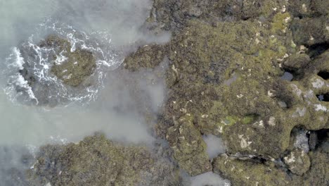 Aerial-birdseye-view-above-rocky-seaweed-coastline-rock-pool-landscape-moving-downwards
