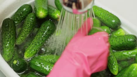 Static-view-looking-at-gloved-hands-washing-bumpy-cucumbers-in-a-bowl-in-a-sink