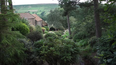 A-calm-summer-evening-looking-over-a-mature-woodland-garden-by-a-stream---Farndale-North-Yorkshire-Moors-Audio-included-features-birdsong-water-and-sheep