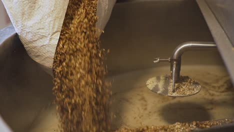 Pouring-A-Bag-Of-Malt-Grains-Into-The-Crushing-Machine-In-A-Brewery-For-Milling---close-up-slowmo