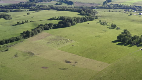 Rotating-aerial-4k-shot-of-a-picturesque-countryside-in-Dolní-Morava,-Czech-Republic-with-a-small-village-and-herd-of-cows-grazing-surrounded-by-fields-and-trees