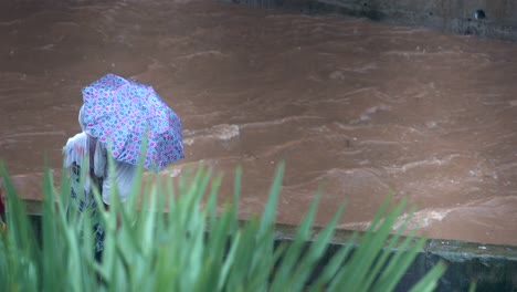 Paare-Unter-Einem-Regenschirm,-Die-Den-Fluss-Beobachten