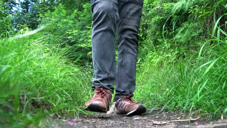 Lower-Body-Of-A-Man-Walking-On-The-Trail-With-Lush-Grass---slow-motion